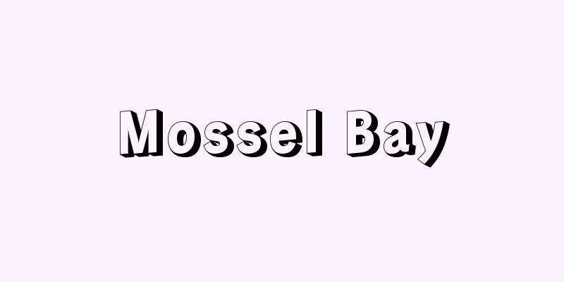 Mossel Bay