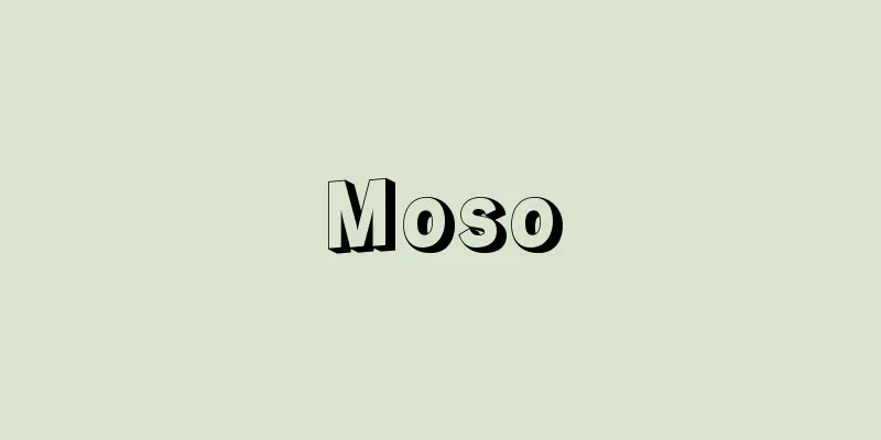 Moso