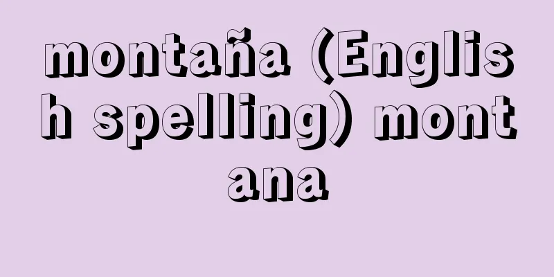 montaña (English spelling) montana