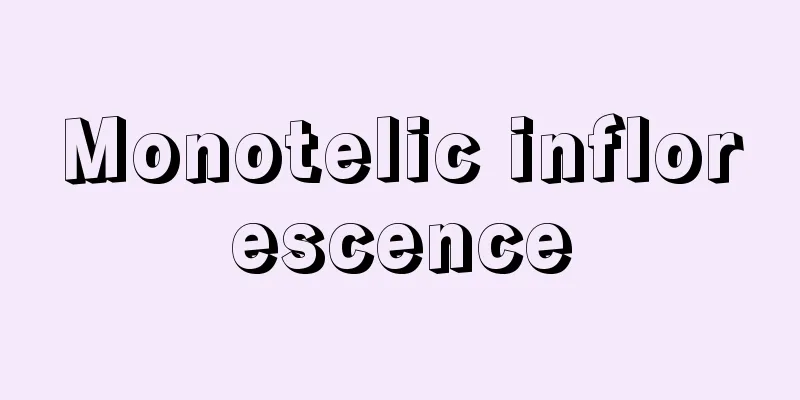 Monotelic inflorescence
