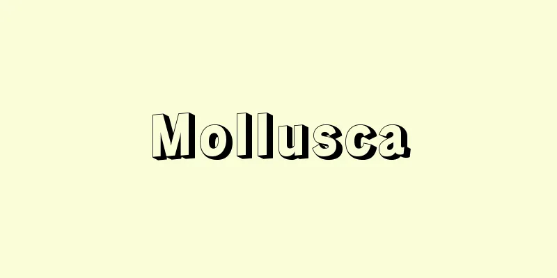 Mollusca