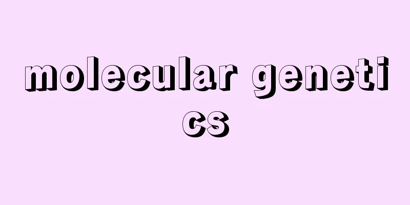 molecular genetics
