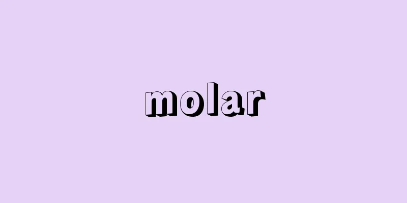 molar