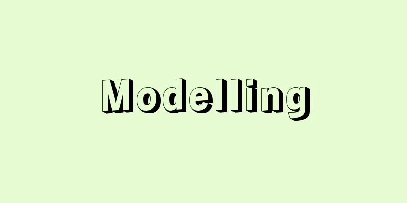 Modelling