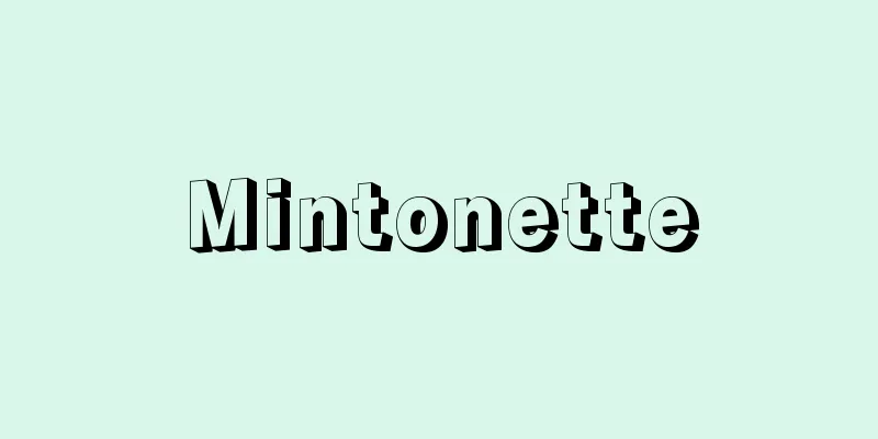 Mintonette