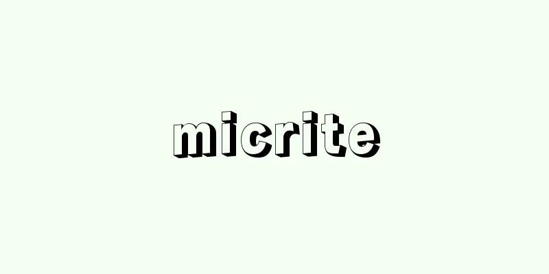 micrite