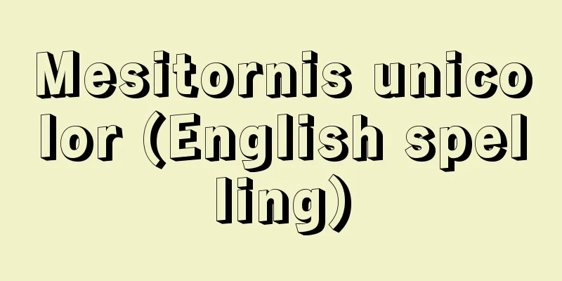 Mesitornis unicolor (English spelling)