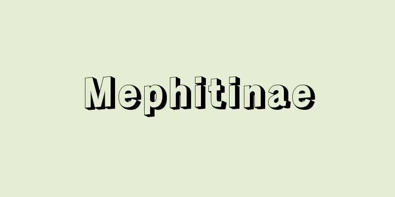 Mephitinae