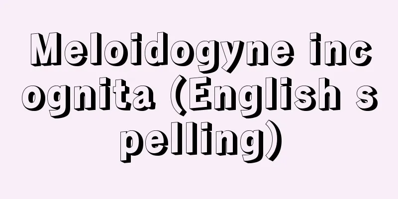 Meloidogyne incognita (English spelling)