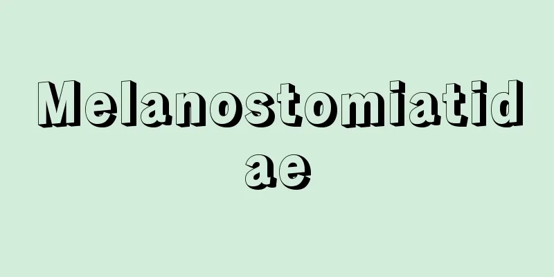 Melanostomiatidae