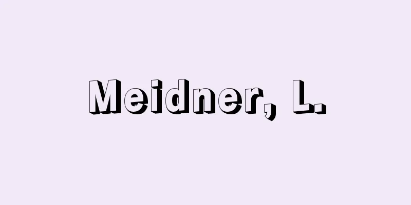 Meidner, L.