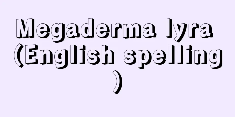 Megaderma lyra (English spelling)