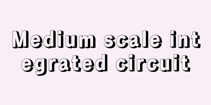 Medium scale integrated circuit