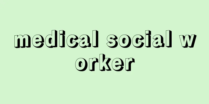 medical social worker