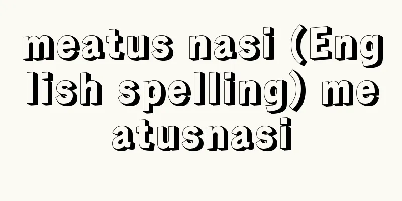 meatus nasi (English spelling) meatusnasi