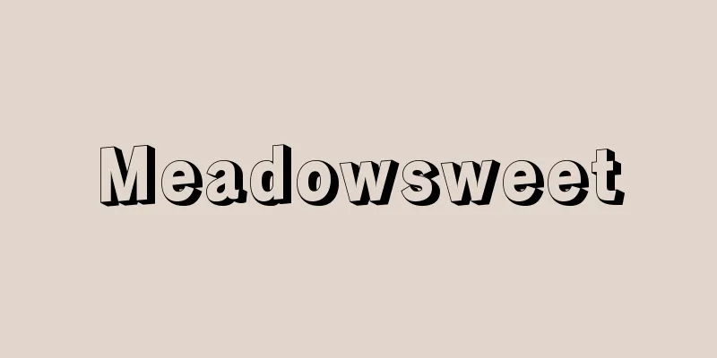 Meadowsweet