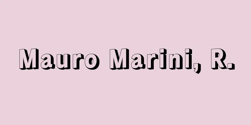 Mauro Marini, R.