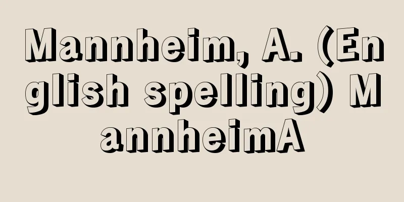 Mannheim, A. (English spelling) MannheimA