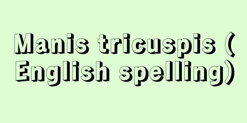 Manis tricuspis (English spelling)