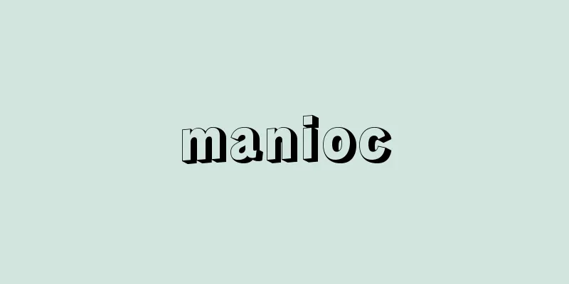 manioc