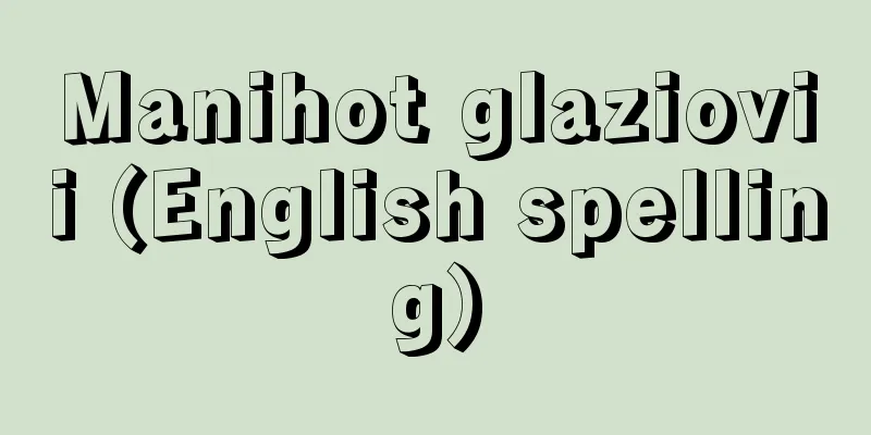 Manihot glaziovii (English spelling)