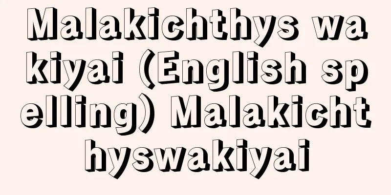 Malakichthys wakiyai (English spelling) Malakichthyswakiyai