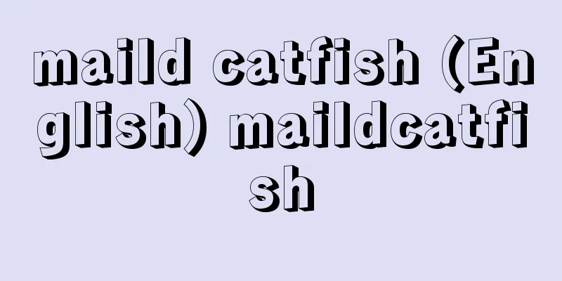maild catfish (English) maildcatfish