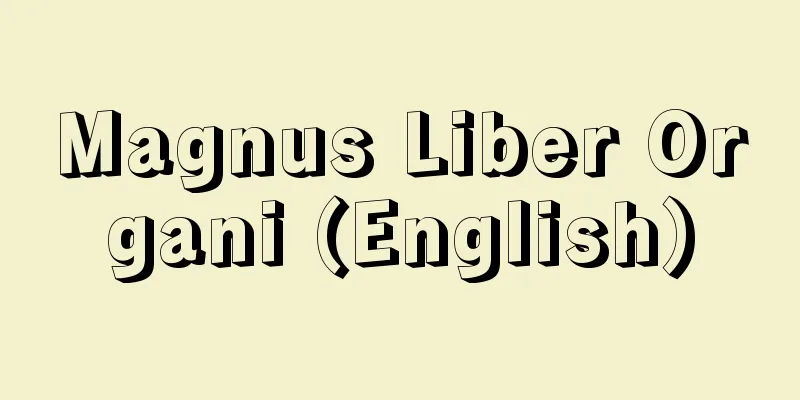 Magnus Liber Organi (English)