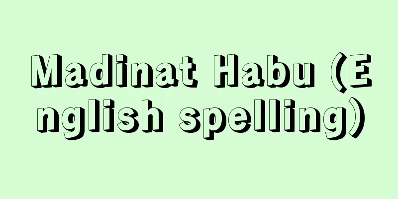 Madinat Habu (English spelling)
