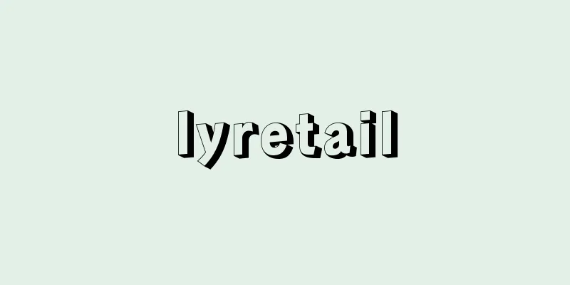 lyretail