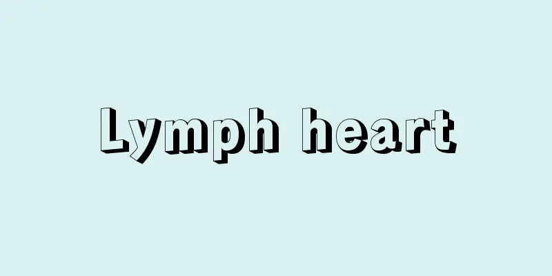 Lymph heart