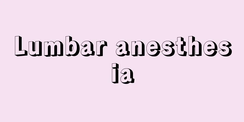 Lumbar anesthesia