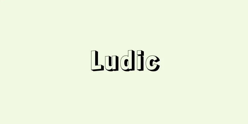 Ludic