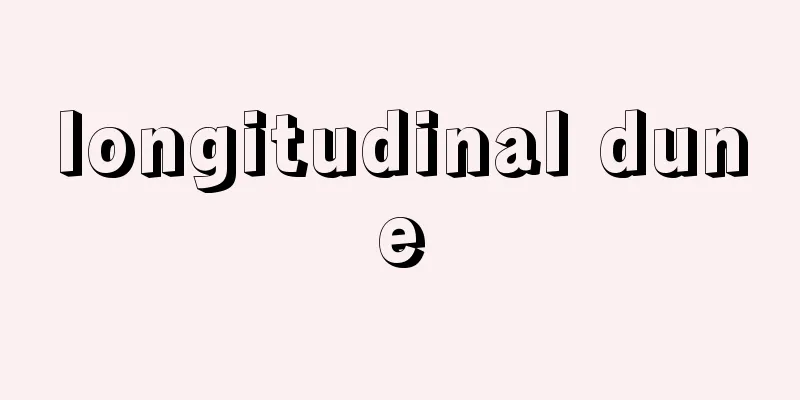 longitudinal dune