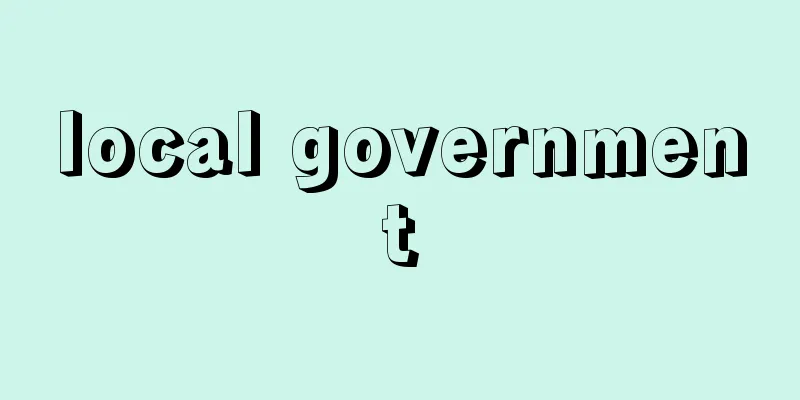 local government