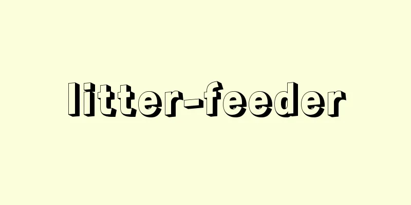 litter-feeder