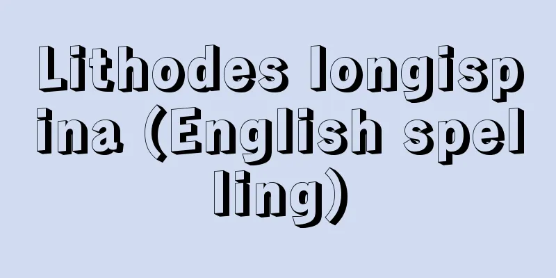 Lithodes longispina (English spelling)