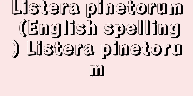 Listera pinetorum (English spelling) Listera pinetorum