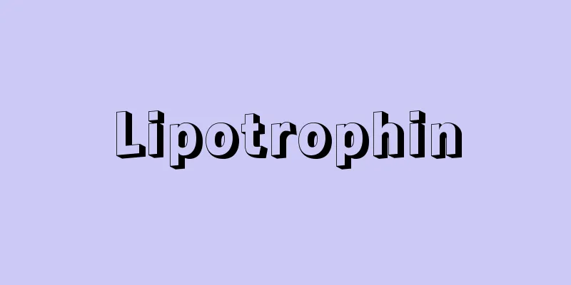 Lipotrophin