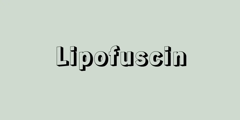 Lipofuscin
