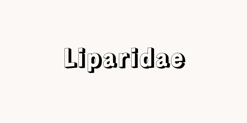 Liparidae