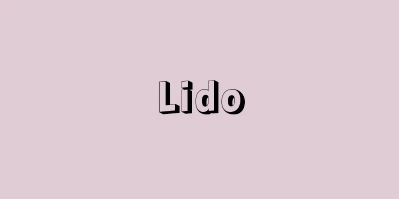 Lido
