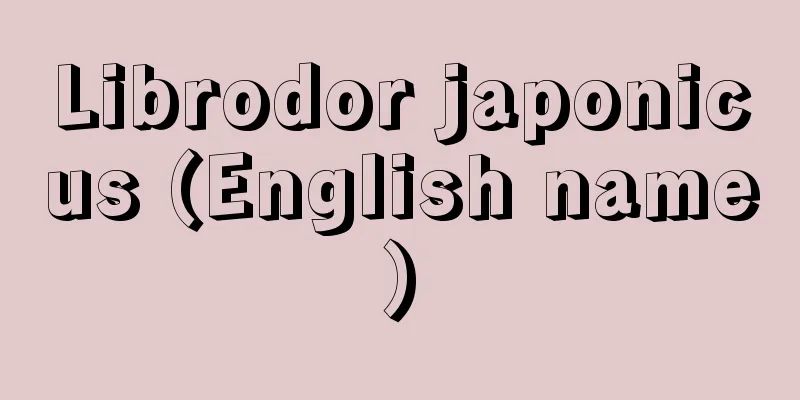 Librodor japonicus (English name)