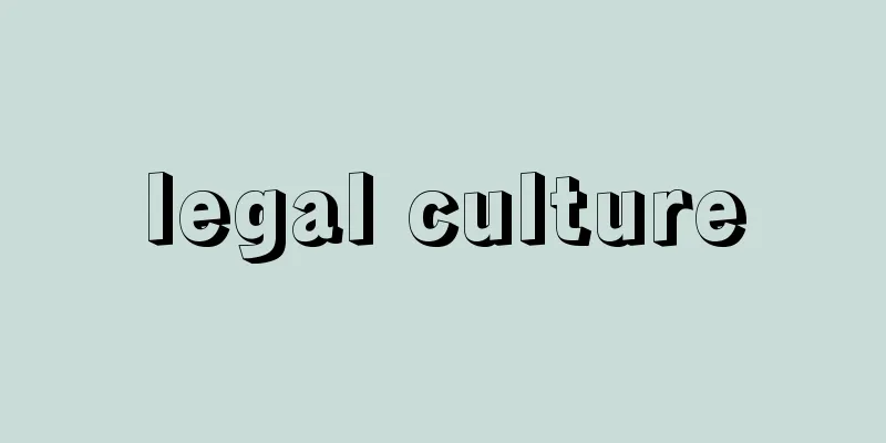 legal culture