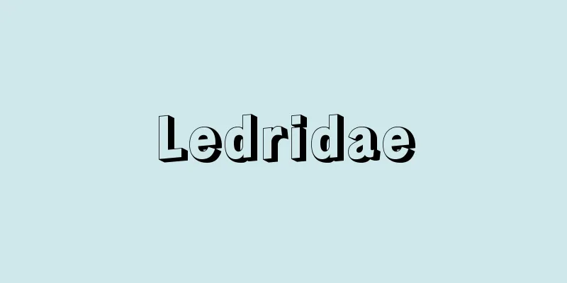 Ledridae
