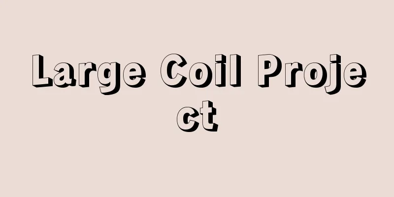 Large Coil Project