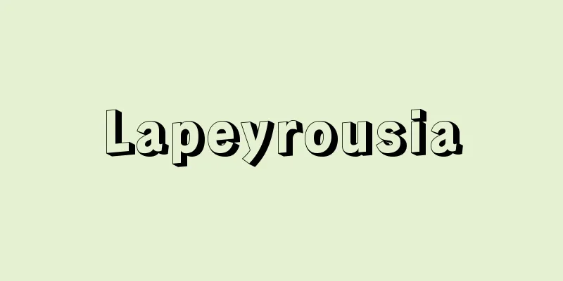 Lapeyrousia