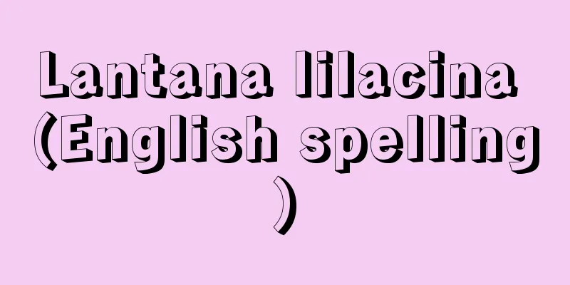 Lantana lilacina (English spelling)