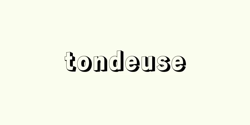 tondeuse