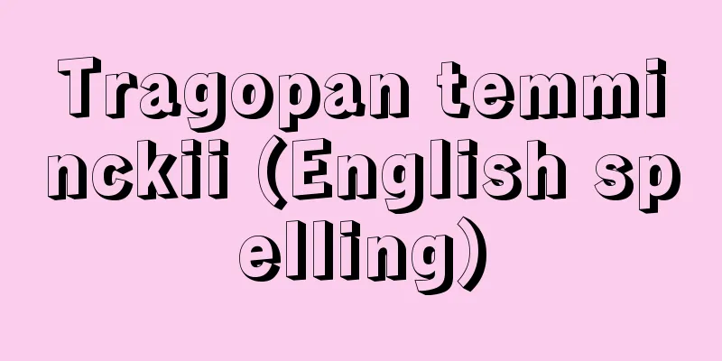 Tragopan temminckii (English spelling)